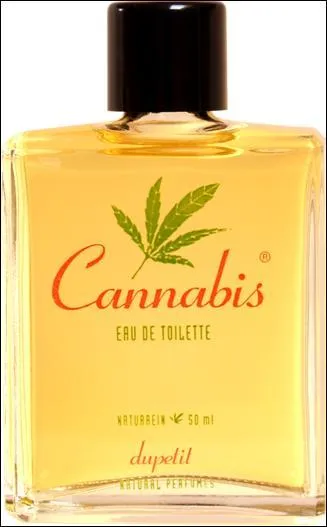 Je crois que tu pousses le bouchon un peu loin, Albert ! Qu'en pensez-vous ?