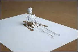 Où le papyrus pousse-t-il ?