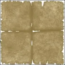 Avec quoi les premiers livres sont-ils fabriqués ?