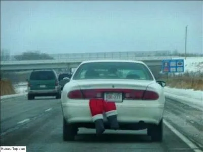 Acte délibéré de chasse hors cadre de la législation en vigueur...