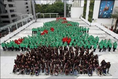 Lequel de ces sapins ne devrait-on jamais voir dans son salon (sauf pour ceux qui adore la viande hachée) ?