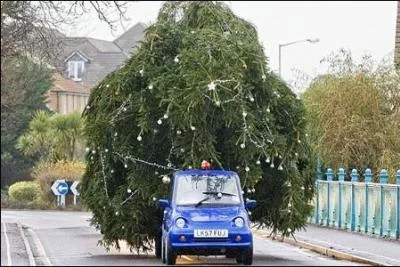 D'après notre code de la route spécial sapin (article R.312-20 du code de la route), la largeur du chargement d'un véhicule ne doit pas dépasser...