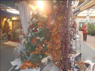 En dehors de Tino Rossi, d'autres artistes ont interprété "Petit Papa Noël", retrouvez le bon (ou la bonne) !