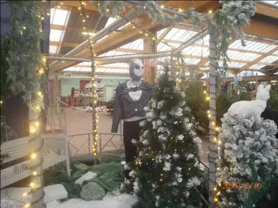 En 1988, un groupe français reprend un classique d'origine allemande, "Etoile des neiges", cette chanson ainsi remaniée va faire un carton, de quel groupe s'agit-il ?