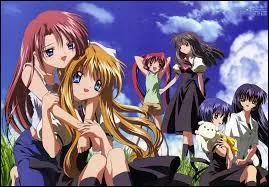 Quel est le bon titre pour cet anime ?