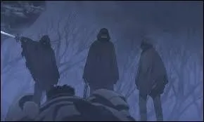 Comment s'appelle cette guilde d'assassins, qui a été une fois engagée par Green Lock ?