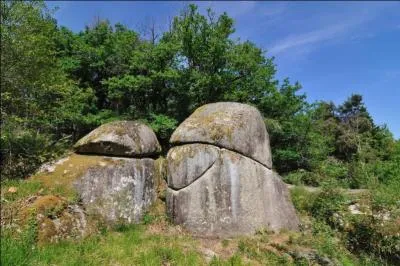 Quelle est cette région du Tarn où vous découvrirez d'étranges sculptures minérales comme le roc de l'Oie ou les Trois Fromages ?