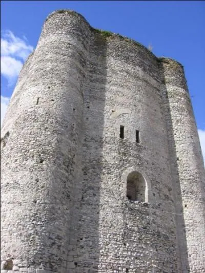 Quel animal a fait la renommée de la cité de Houdan dans les Yvelines ici représentée par son imposant donjon ?