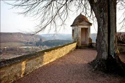 La ville d'Avallon dans l'Yonne est située sur un plateau dominant un cours d'eau, lequel ?