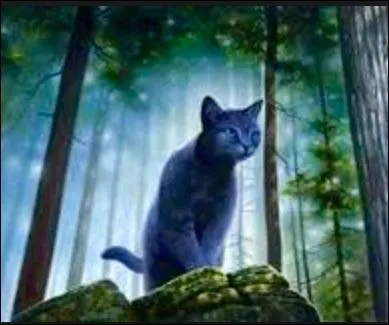 Avec qui Etoile Bleue a-t-elle fait ses petits ?