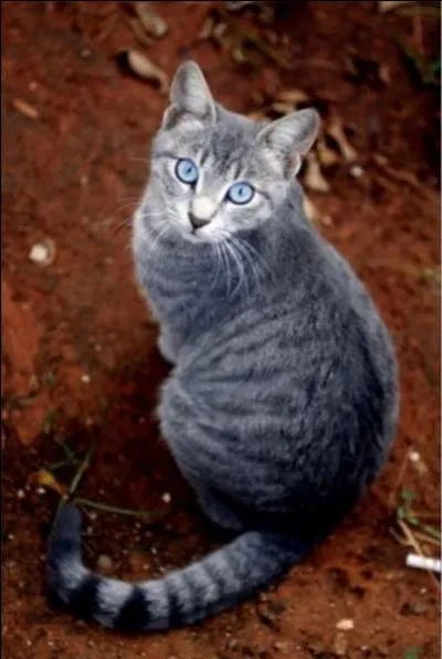 Qui est Rivière d'Argent ?