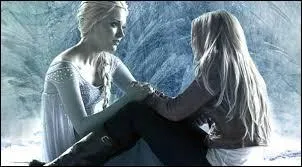 Que découvre-t-on plus tard de cet objet ?