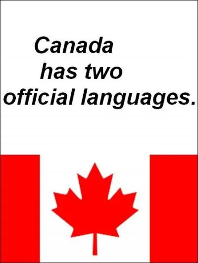 Quelle est la bonne réponse ?