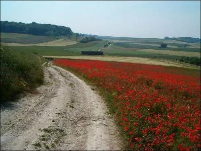 Le département de l'Oise n'est pas limitrophe de celui :