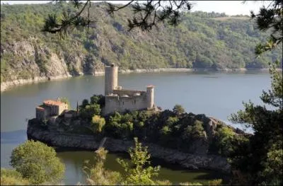 Dans quel département ne pourrez-vous pas aller directement sans être obligé d'en traverser un autre à partir de celui de la Loire ?