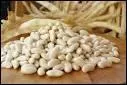 La mojette, haricot blanc originaire du Nouveau Monde, introduit au XVIe siècle, est devenu une spécialité ...