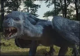 Comment s'appelle-t-elle ? (le héros et son dragonnier)