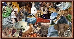 Son meilleur ami (Sacha, Simon ou Steven ?) va être transformé en :