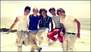 Dans quelle série ont-ils joué ?