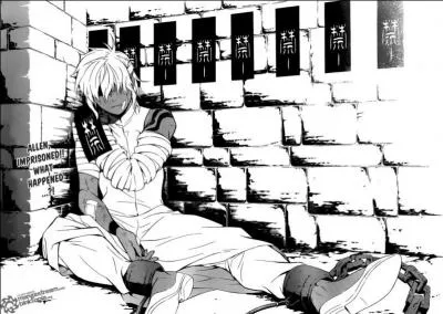 Qui est Allen réellement ?