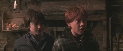 Pour essayer de trouver le nom de l'héritier de Serpentard, Harry et Ron prennent l'apparence...