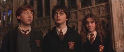 Quelles créatures Harry, Ron et Harmione voient-il fuir le château quand Miss Teigne est retrouvée pétrifiée ?