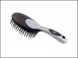 Enfin ce pansage terminé ! Mais, quel est cet objet sur l'image ?