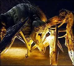 Enfin, elle est connue pour avoir piqué Ben et Alby en plein jour, quel est son nom ?