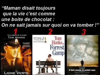 Quel est le bon film ?
