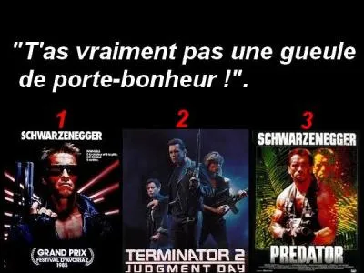 Quel est le bon film ?