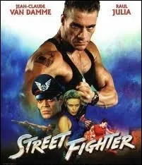 En quelle année est sorti "Street Fighter : L'ultime combat", version cinématographique d'un des plus grands jeux de baston de tous les temps ?