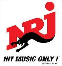 Sur NRJ, qui est l'animateur radio du soir (20 h-00 h) ?