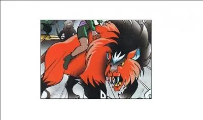 Quel est le nom de l'animal de Shimy ?