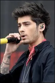 Dans son groupe est-il chanteur ou musicien ?