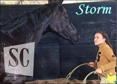 Lisa a-t-elle vendu ce cheval ?