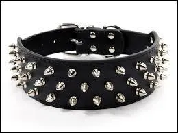 Qui incarne Danny The Dog dans le film éponyme écrit par Luc Besson ?