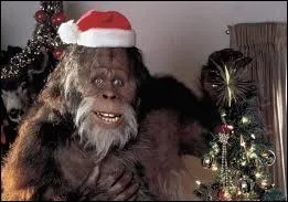 Où Harry devrait-il passer les fêtes de fin d'année ?