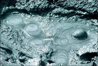 Je suis une sorte de vase.