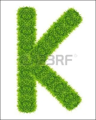 Tranquillité, calme, repos :