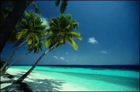 Dans quel océan se situe l'île française de la Réunion ?