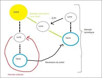 Combien de temps dure la période synodique ?