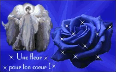 Chez les Incas, assemblage de cordelettes dont les nuds, les couleurs et le nombre servaient de système de comptabilité :