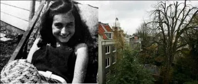 Allons en Allemagne puis aux Pays-Bas ! Si je vous dis un journal, un réduit et un arbre (qui vient d'être abattu), cela devrait suffire pour vous aider à trouver cette jeune personne ! Qui est-elle ?