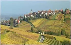 Nous partons à la découverte de Zellenberg, à 2 kilomètres de Riquewihr. Village établi sur une colline en plein milieu du vignoble alsacien, il se situe dans le département ...