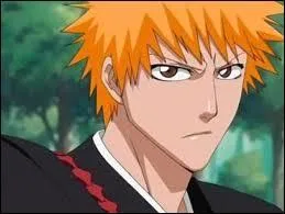 Quel âge avait Ichigo dans les premiers épisodes ?