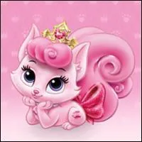 Quel est son nom ? Indice : ne vous endormez pas à cette question.