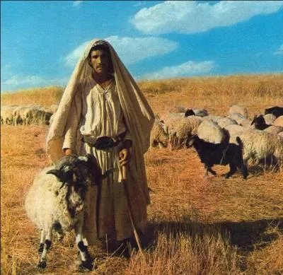 Quel prophète a guidé les enfants d'Israël à la Terre Promise ?