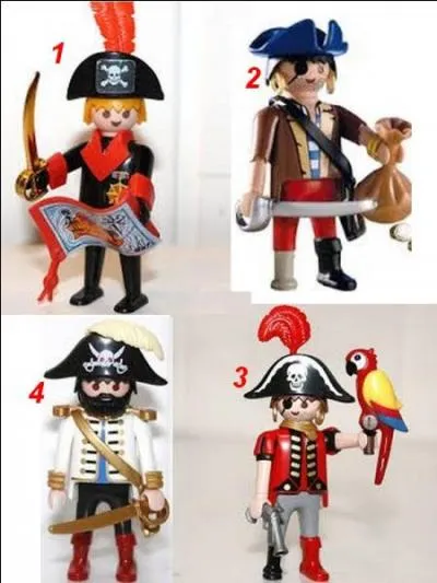Quel est le méchant pirate barbu ?