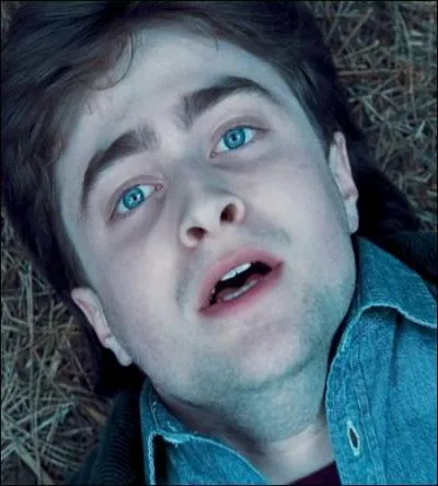 « Je n'ai le souvenir d'aucune nourriture, du chant de l'eau, de la caresse de l'herbe. Je suis je suis nu dans les ténèbres ! Il n'y a aucun voile entre moi et la roue de feu J'arrive à le voir de mes yeux éveillés ! »