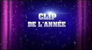 Qui a eu la récompense du meilleur clip de l'année ?